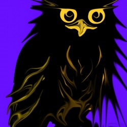 owl